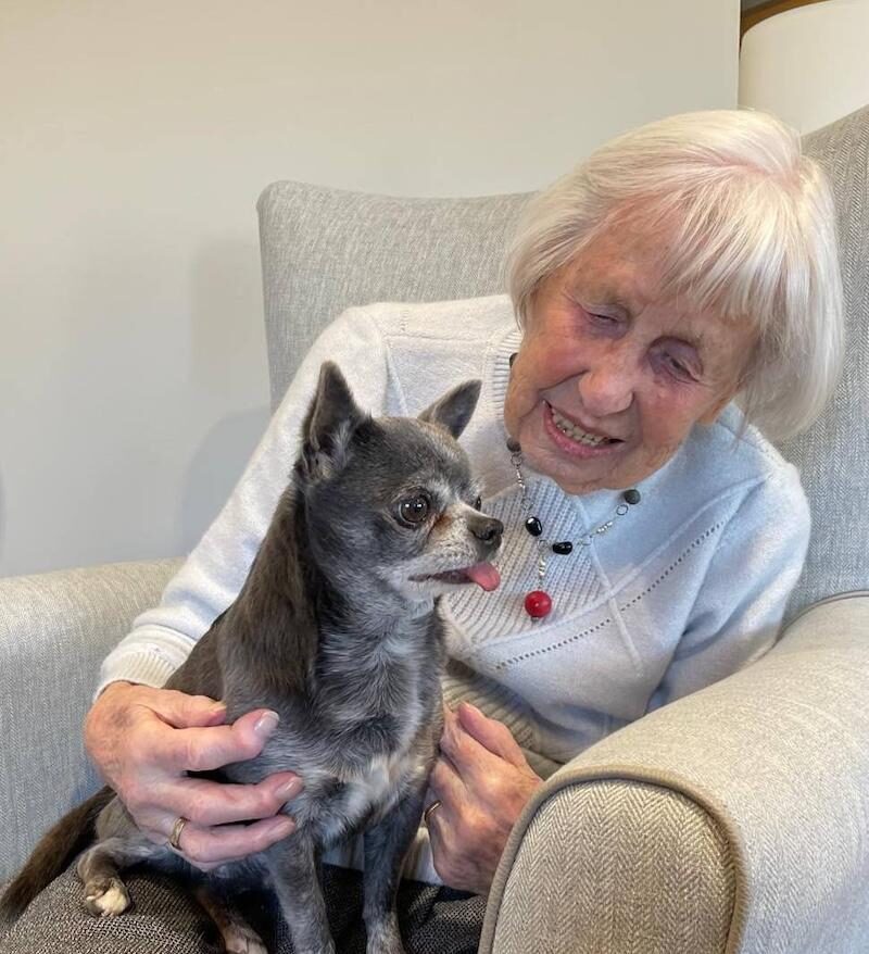 one of the residents mary sat with a dog on her lap smiling